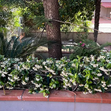 Casa Perla Taormina-giardini Naxos Lägenhet